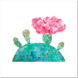 Pink cactus flower watercolor Posters and Art